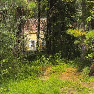 Photo #41 of SOLD property in Lot-7, Off  Wilson Road, Providence, NC 10.0 acres