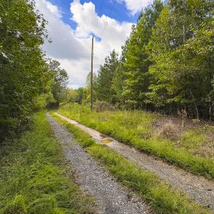 Photo #42 of SOLD property in Lot-7, Off  Wilson Road, Providence, NC 10.0 acres