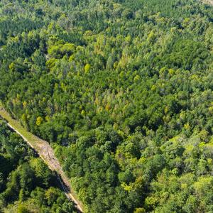 Photo #2 of SOLD property in Lot-8, Off Wilson Road, Providence, NC 16.6 acres