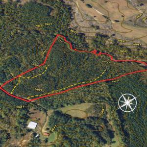 Photo #3 of SOLD property in Lot-8, Off Wilson Road, Providence, NC 16.6 acres