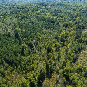 Photo #7 of SOLD property in Lot-8, Off Wilson Road, Providence, NC 16.6 acres