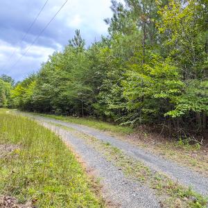 Photo #9 of SOLD property in Lot-8, Off Wilson Road, Providence, NC 16.6 acres