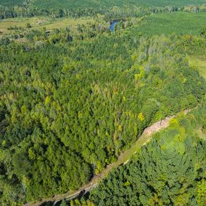 Photo #13 of SOLD property in Lot-8, Off Wilson Road, Providence, NC 16.6 acres