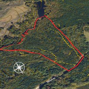 Photo #14 of SOLD property in Lot-8, Off Wilson Road, Providence, NC 16.6 acres