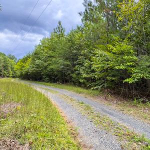 Photo #15 of SOLD property in Lot-8, Off Wilson Road, Providence, NC 16.6 acres