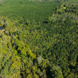 Photo #17 of SOLD property in Lot-8, Off Wilson Road, Providence, NC 16.6 acres