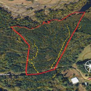 Photo #20 of SOLD property in Lot-8, Off Wilson Road, Providence, NC 16.6 acres