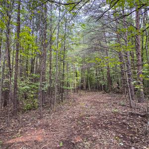 Photo #22 of SOLD property in Lot-8, Off Wilson Road, Providence, NC 16.6 acres