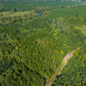 Photo #23 of SOLD property in Lot-8, Off Wilson Road, Providence, NC 16.6 acres