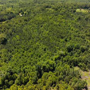 Photo #25 of SOLD property in Lot-8, Off Wilson Road, Providence, NC 16.6 acres