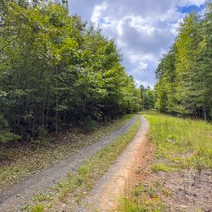 Photo #27 of SOLD property in Lot-8, Off Wilson Road, Providence, NC 16.6 acres