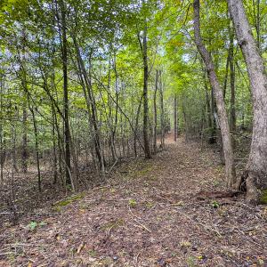Photo #28 of SOLD property in Lot-8, Off Wilson Road, Providence, NC 16.6 acres