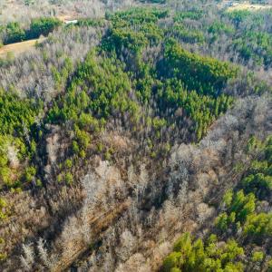 Photo #31 of SOLD property in Lot-8, Off Wilson Road, Providence, NC 16.6 acres