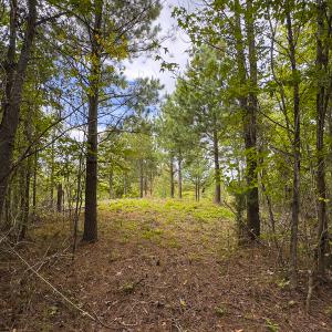 Photo #34 of SOLD property in Lot-8, Off Wilson Road, Providence, NC 16.6 acres
