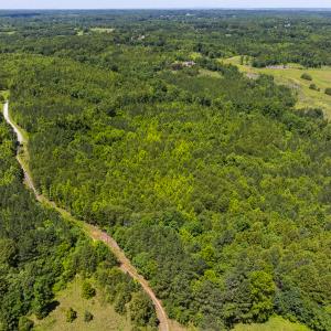 Photo #36 of SOLD property in Lot-8, Off Wilson Road, Providence, NC 16.6 acres