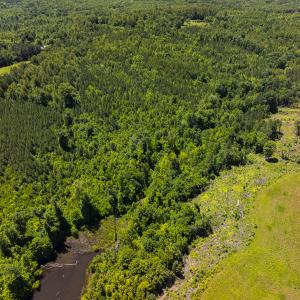 Photo #38 of SOLD property in Lot-8, Off Wilson Road, Providence, NC 16.6 acres
