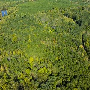 Photo #39 of SOLD property in Lot-8, Off Wilson Road, Providence, NC 16.6 acres