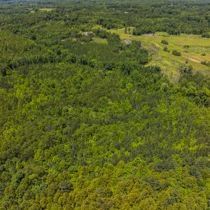 Photo #41 of SOLD property in Lot-8, Off Wilson Road, Providence, NC 16.6 acres