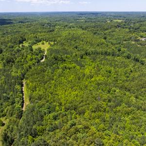 Photo #44 of SOLD property in Lot-8, Off Wilson Road, Providence, NC 16.6 acres