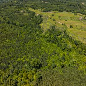 Photo #45 of SOLD property in Lot-8, Off Wilson Road, Providence, NC 16.6 acres