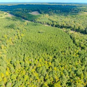 Photo #3 of SOLD property in Off Underwood Rd, Carthage, NC 32.9 acres