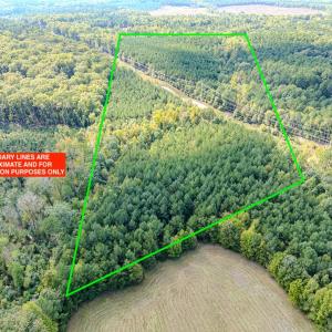 Photo #4 of SOLD property in Off Underwood Rd, Carthage, NC 32.9 acres