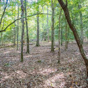 Photo #6 of SOLD property in Off Underwood Rd, Carthage, NC 32.9 acres