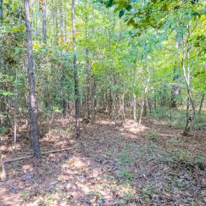 Photo #7 of SOLD property in Off Underwood Rd, Carthage, NC 32.9 acres