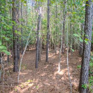 Photo #8 of SOLD property in Off Underwood Rd, Carthage, NC 32.9 acres