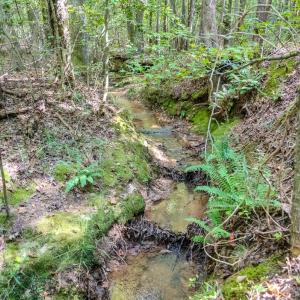 Photo #10 of SOLD property in Off Underwood Rd, Carthage, NC 32.9 acres