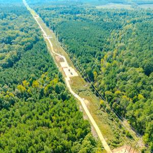 Photo #13 of SOLD property in Off Underwood Rd, Carthage, NC 32.9 acres