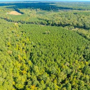 Photo #17 of SOLD property in Off Underwood Rd, Carthage, NC 32.9 acres