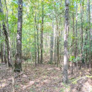 Photo #18 of SOLD property in Off Underwood Rd, Carthage, NC 32.9 acres