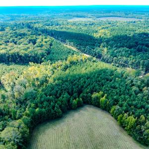Photo #21 of SOLD property in Off Underwood Rd, Carthage, NC 32.9 acres
