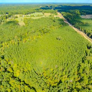Photo #22 of SOLD property in Off Underwood Rd, Carthage, NC 32.9 acres