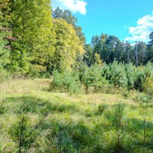 Photo #7 of SOLD property in 3285 Underwood Rd, Carthage, NC 2.1 acres