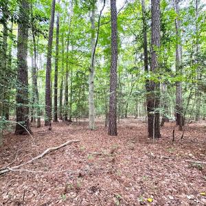 Photo #10 of SOLD property in Off Reynolds Drive, Carrollton, VA 5.0 acres