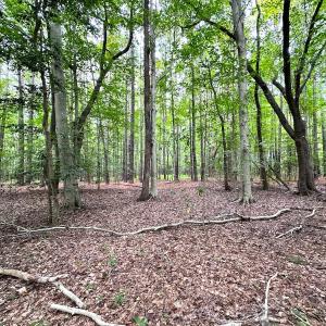 Photo #11 of SOLD property in Off Reynolds Drive, Carrollton, VA 5.0 acres