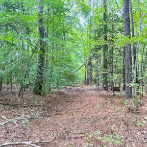 Photo #12 of SOLD property in Off Reynolds Drive, Carrollton, VA 5.0 acres