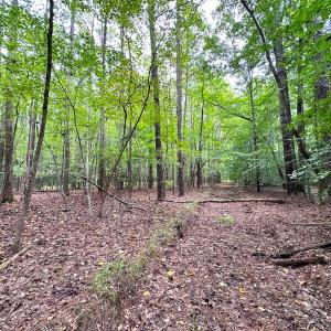 Photo #14 of SOLD property in Off Reynolds Drive, Carrollton, VA 5.0 acres