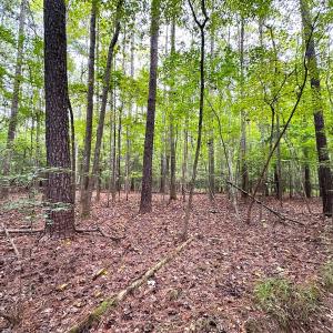 Photo #15 of SOLD property in Off Reynolds Drive, Carrollton, VA 5.0 acres