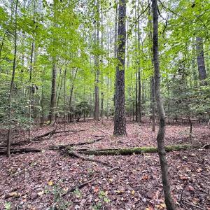 Photo #17 of SOLD property in Off Reynolds Drive, Carrollton, VA 5.0 acres