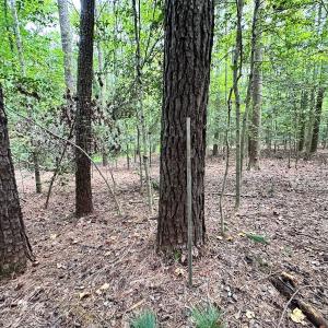 Photo #19 of SOLD property in Off Reynolds Drive, Carrollton, VA 5.0 acres