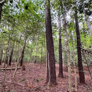 Photo #20 of SOLD property in Off Reynolds Drive, Carrollton, VA 5.0 acres