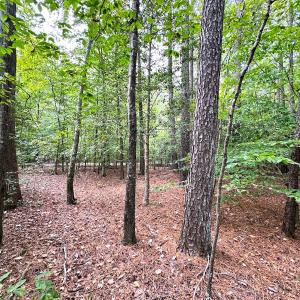 Photo #6 of SOLD property in Off Reynolds Drive, Carrollton, VA 5.0 acres