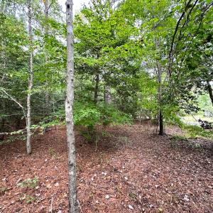 Photo #7 of SOLD property in Off Reynolds Drive, Carrollton, VA 5.0 acres