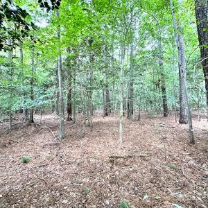 Photo #9 of SOLD property in Off Reynolds Drive, Carrollton, VA 5.0 acres