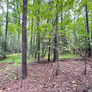 Photo #21 of SOLD property in Off Reynolds Drive, Carrollton, VA 5.0 acres