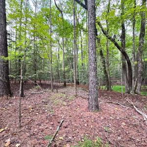 Photo #22 of SOLD property in Off Reynolds Drive, Carrollton, VA 5.0 acres