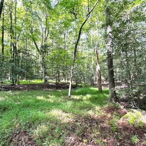 Photo #10 of SOLD property in Off Reynolds Drive, Carrollton, VA 5.1 acres